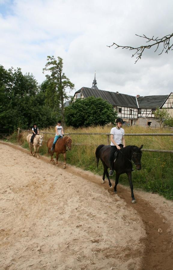Pferd - Spass - Entspannung Staitz Luaran gambar