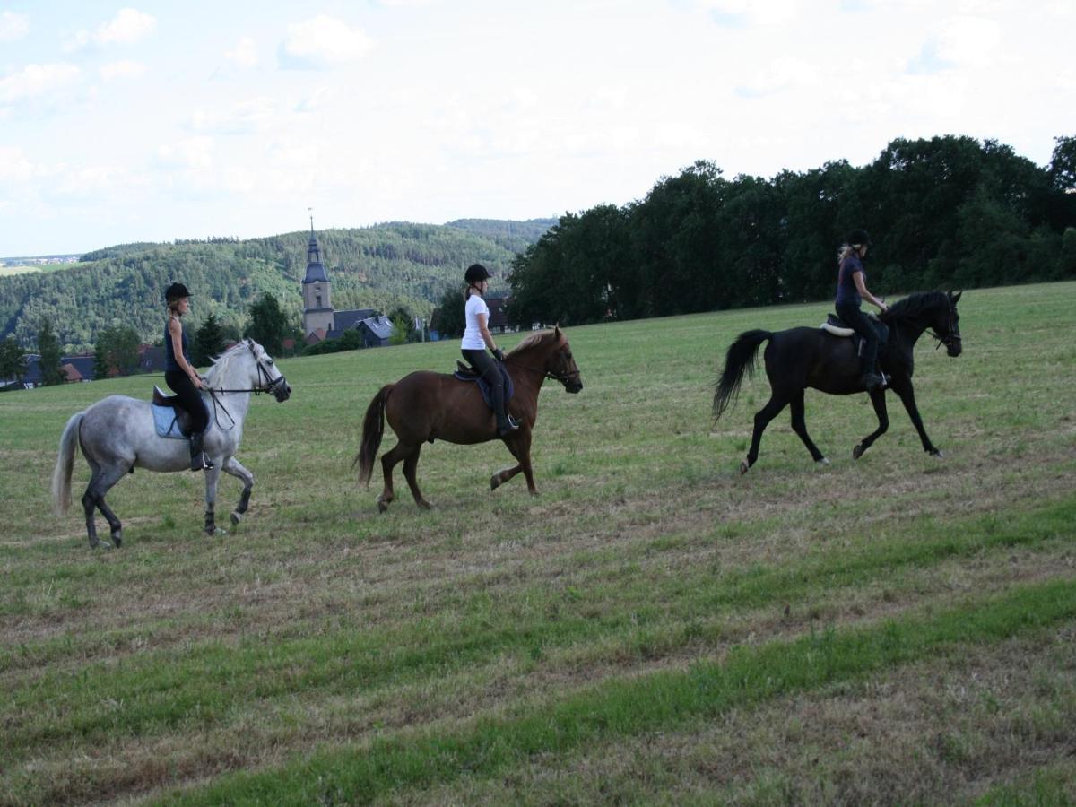 Pferd - Spass - Entspannung Staitz Luaran gambar