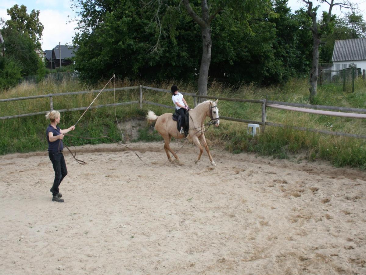 Pferd - Spass - Entspannung Staitz Luaran gambar