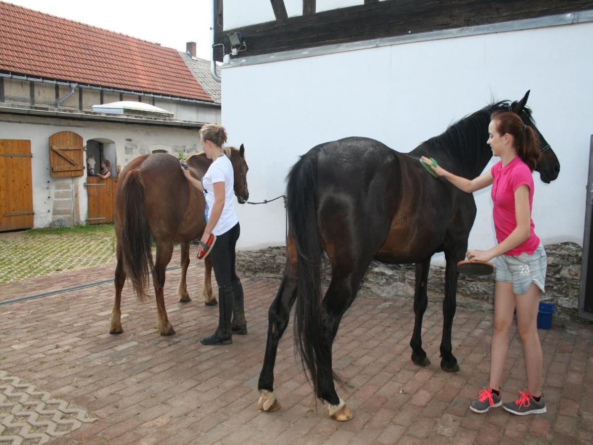Pferd - Spass - Entspannung Staitz Luaran gambar
